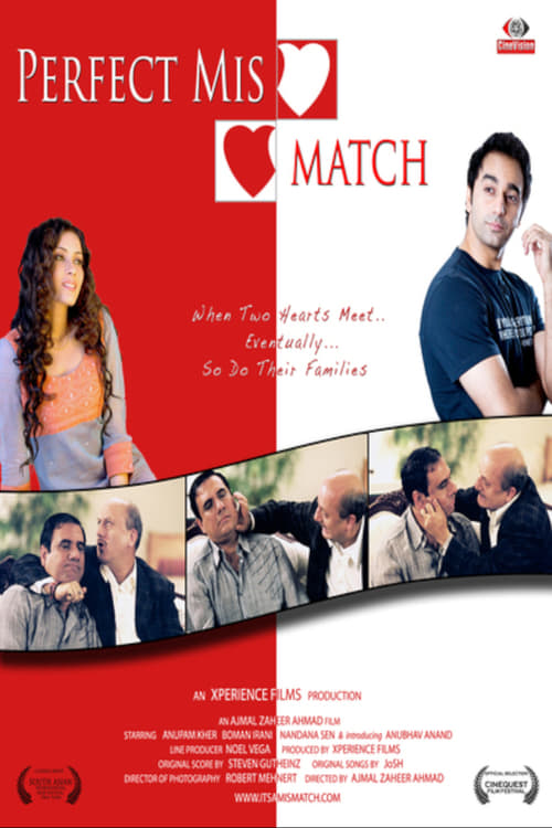 Perfect Mismatch Reviews Where to Watch Movie Online Stream or Skip