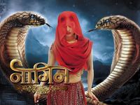 Naagin season 5 discount online