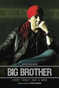 Watch big brother movie online new arrivals