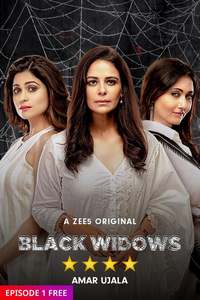 Black Widows Reviews Where to Watch Tv show Online Stream or Skip