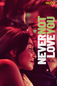 Never Not Love You Reviews Ratings Box Office Trailers Runtime