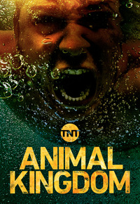 Watch animal kingdom season on sale 4