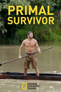 Watch survivor 2025 season 6